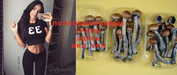крисы Ростов