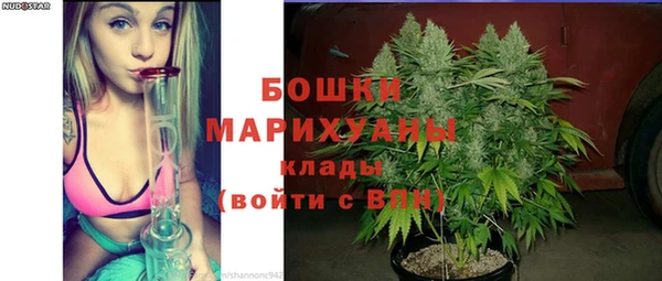 mdpv Новодвинск