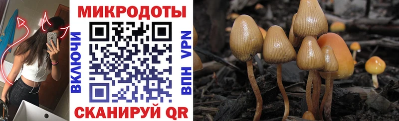 ОМГ ОМГ зеркало дарнет шоп Юхнов Галлюциногенные грибы GOLDEN TEACHER